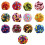 Multi Color Knitting Yarn Scarf Knitting Thread 6