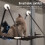 Black Mesh Cat Window Hammock Single Layer Suction 5