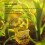 10 PCS Rain Gauge with Numbers Yellow ABS 1.5in 3