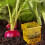 10 PCS Rain Gauge with Numbers Yellow ABS 1.5in 6
