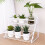 2-Tier Countertop Storage Rack, Iron Wire, White 7