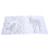 English Edition Magic Forest Painting Drawing 7
