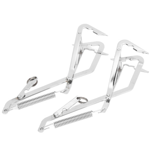 2 Pcs Seafood Grabber Stainless Steel Grabbing 2