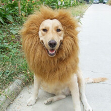 (Black, L) Pet Costume Lion Mane Wig For Dog Halloween Festival Dress Up Gift Fashion Prop