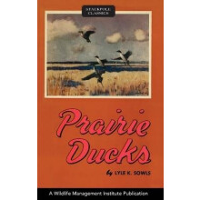Prairie Ducks