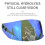 Helmet Visor Replacement for FF352/384/351/369/802, PC, Multi-Color 7