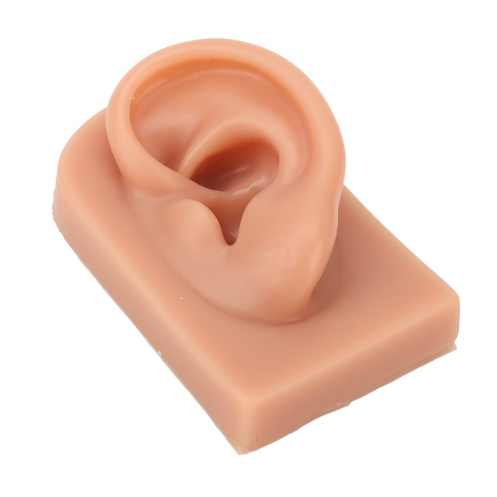 Dark Soft Silicone Skin Ear Model For Piercing Practice And Earring Display 3D
