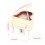 Wooden Miniature Piano Replica with Bench and Case 8