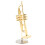 Miniature Trumpet Replica with Stand and Case Gold 2