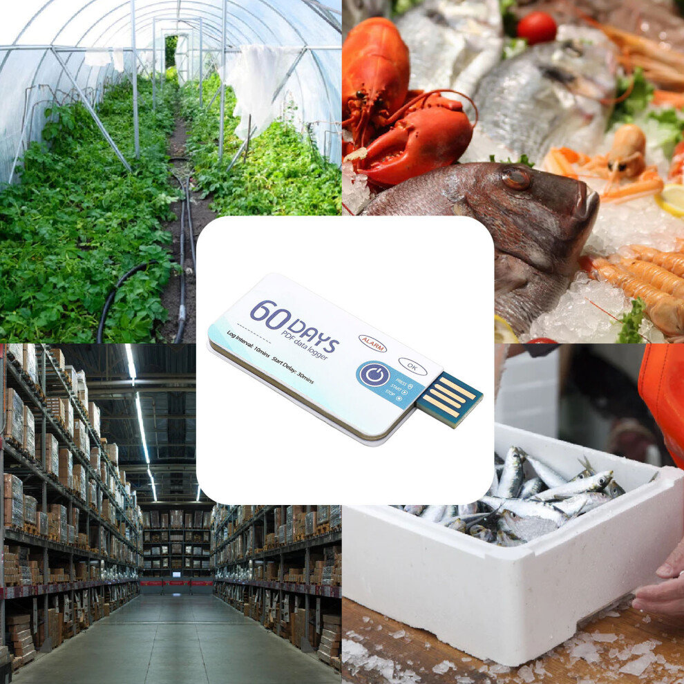 Disposable USB Temperature Recorder with 10000 Data Storage High Accuracy