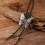 τεμ./2 τεμ. Χάλκινη/Ασημένια Γραβάτα Μπολ για Άνδρες, Γραβάτα Καρναβαλιού 4