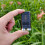 Mini Keychain Flashlight 900LM 12 Modes Waterproof IP65 Small 56mm 5