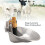 Sturdy Stainless Water Bowl for Sheep - Anti Fall Collision Bite 4