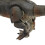 Electric Dino Model with Remote Control and LED Light Mechanical Dinosaur Toy 12