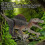 Electric Dino Model with Remote Control and LED Light Mechanical Dinosaur Toy 3