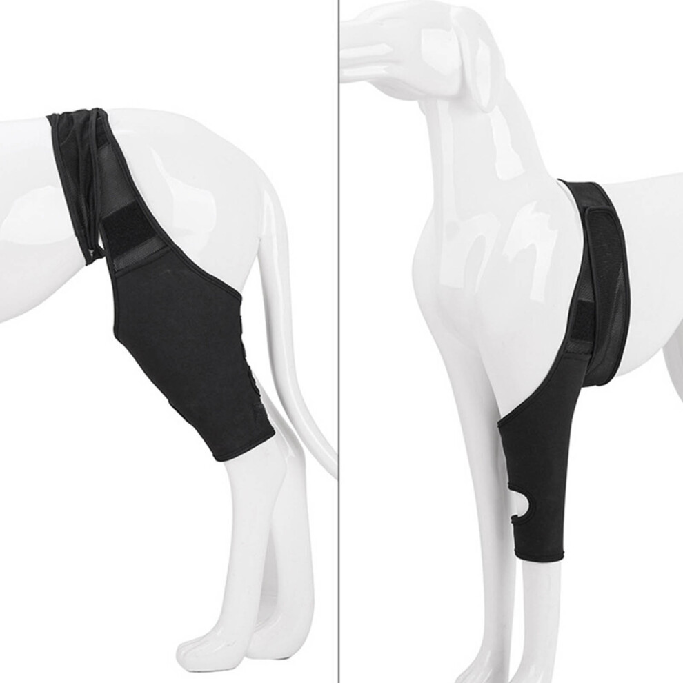 Adjustable Neoprene Dog Knee Support Brace for Pain Relief - Medium