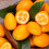 Fresh Kumquat 1kg 2