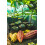 Hotel Chocolat Hotel Chocolat - Summer Desserts Sleekster, Pink 5