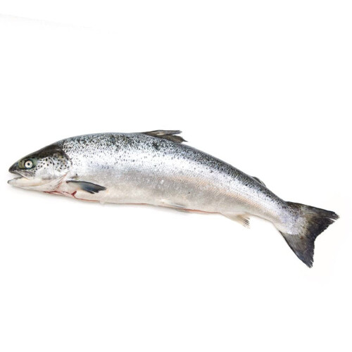 Whole Salmon ~2.5kg -/+10%