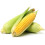 Fresh Corn on the Cob 10 units | Husk On 1