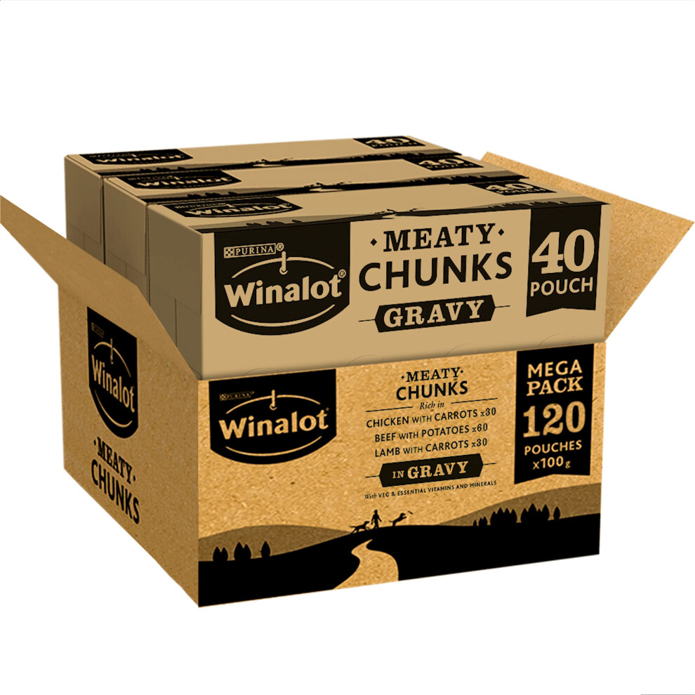 Purina Winalot Meaty Chunks Mixed In Gravy Wet Dog Food 120X100g