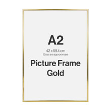 Modern Gold A2 Photo Frame for A2 (42 x 59.4cm) Photos or Pictures, Plexi Glass, Wall Mounted Landscape or Portrait