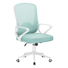 naspaluro Computer Desk Chair, Ergonomic Chairs with 3D Lumbar Support, Unique Armrests Mesh Chairs with Metal Claws, Mid-Back Home Office Chair-Gree