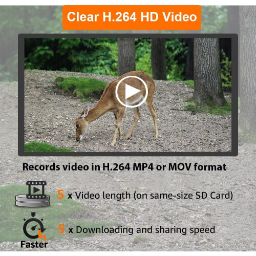 Trail Camera,64MP 1296p Game Camera with Clear Night Vision,Fast 0.1s Trigger Speed Motion Activated(Green) 2