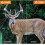 Trail Camera,64MP 1296p Game Camera with Clear Night Vision,Fast 0.1s Trigger Speed Motion Activated(Green) 2