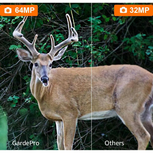 Trail Camera,64MP 1296p Game Camera with Clear Night Vision,Fast 0.1s Trigger Speed Motion Activated(Green) 1