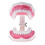 Anatomical Teeth Model Dentist Teaching Oral Hygiene Model Magnification(FJ22) 4