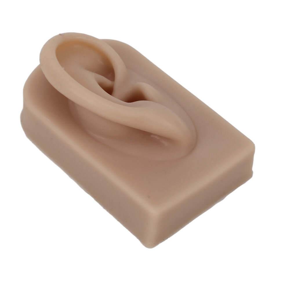 Brown Silicone Right Ear Model For Piercing Practice & Display
