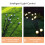 2x 6-Kopf 750 mm Firefly-Lampen 600 mAh Multicolor 7
