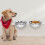 0,8 l Wandmontierter Hundefutterspender Transparent 15