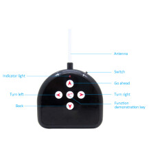 Prank Gift RC Spider Toy with Auto Demo for Kids & Pet Scares