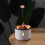 Flame Humidifier Mute Aromatherapy Machine Bedroom Light Fog Volume Air Purification Diffuser Aromatherapy Machine 3