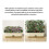 2pcs Balcony Planter Box Set with Double Trellis 46cm White 5