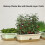 2pcs Balcony Planter Box Set with Double Trellis 46cm White 7