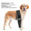 Hundekniebandage S Schwarz - Modell-Kniebandage, Stark 5