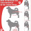 Hundekniebandage S Schwarz - Modell-Kniebandage, Stark 6