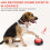 4Pcs Pet Talk Buttons with Sound Effects for Dogs & Cats Multi-Function 11