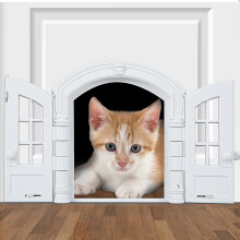 Interior Cat Door with Curtain, Plastic & ABS, 24x27.5x7.2cm White