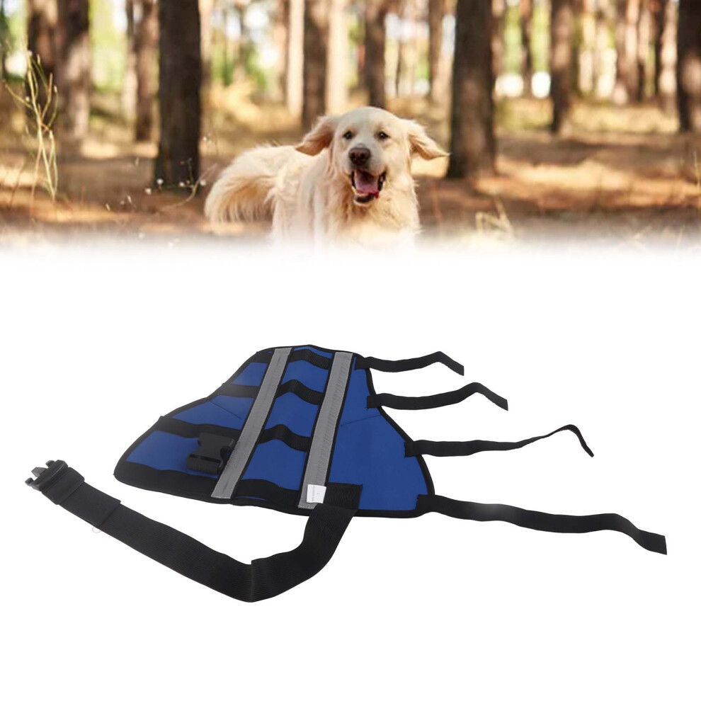 Dog Rear Leg Hock Brace Neoprene Support Wraps with Reflective Tape L