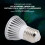 Silver Turtle Basking UVA UVB DC Drive Heat Lamp Bulb 110V 5.0 12