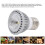 Silver Turtle Basking UVA UVB DC Drive Heat Lamp Bulb 110V 5.0 13