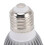 Silver Turtle Basking UVA UVB DC Drive Heat Lamp Bulb 110V 5.0 3