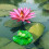 Floating Resin Leaf Decoration for Pool Aquarium - Multicolor, 250g 13
