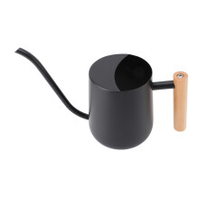 Stainless Steel Watering Can 1L, Nordic Style, Long Spout Black