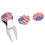 Golf Grün Gabel Kit Kleiner Ballmarker Metall Silber 14