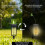 2 Pack Solar Pathway Lights Waterproof Outdoor Garden 8H 75mm 2